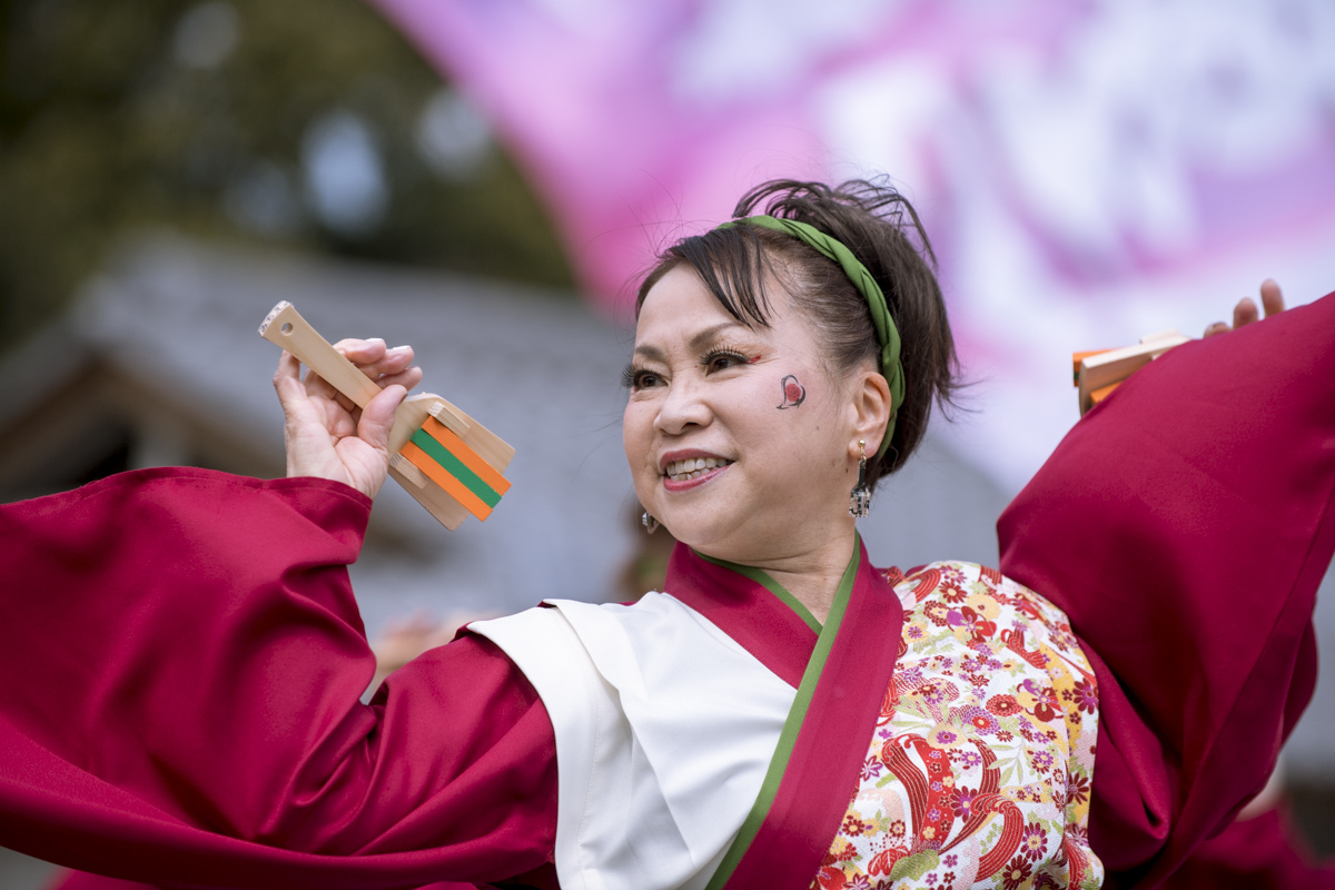 2017　浜松がんこ祭り_f0184198_11382830.jpg