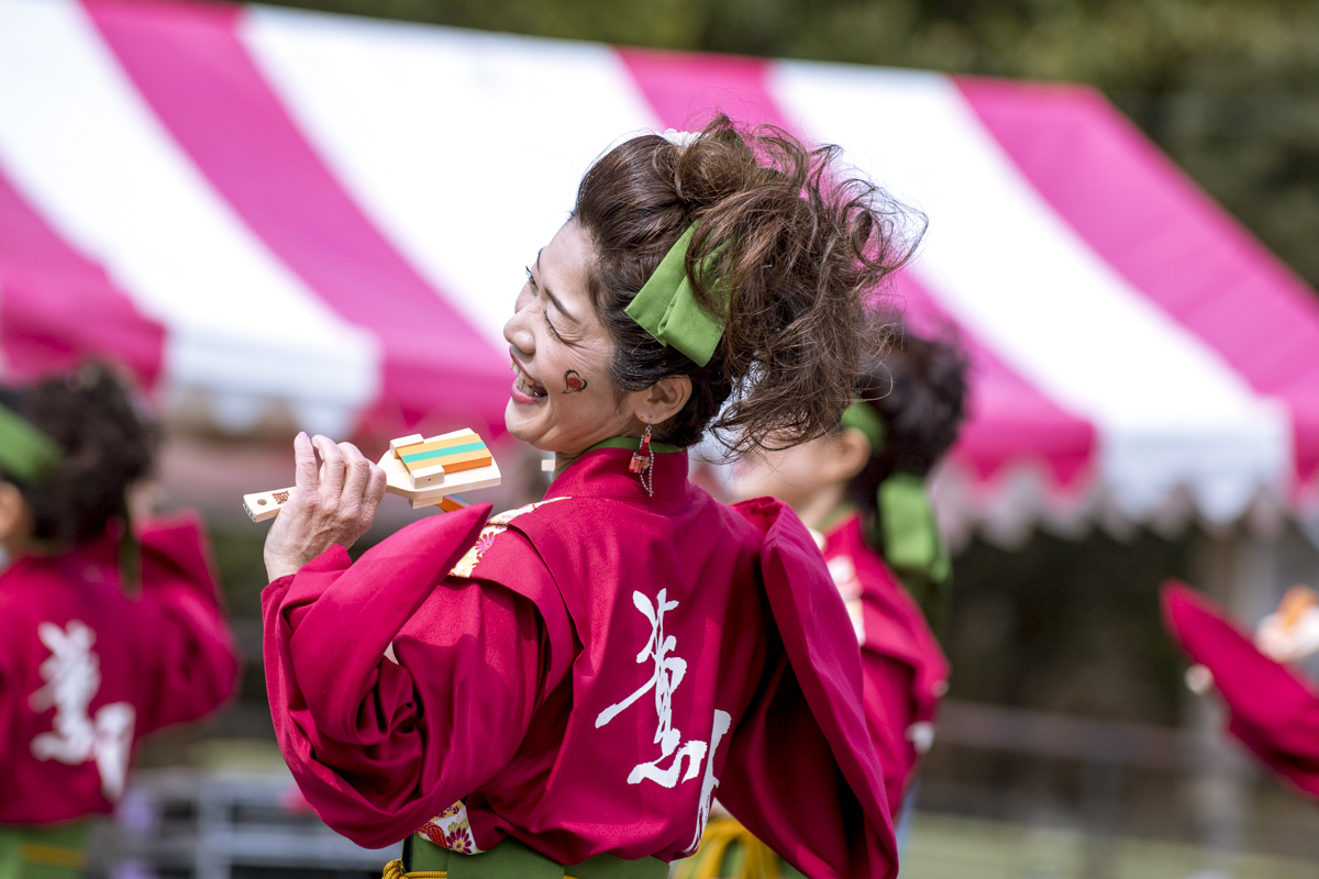 2017　浜松がんこ祭り_f0184198_11382933.jpg