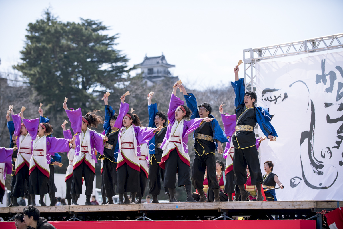 2017　浜松がんこ祭り_f0184198_12284211.jpg