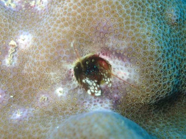 e0115199_19091496.jpg