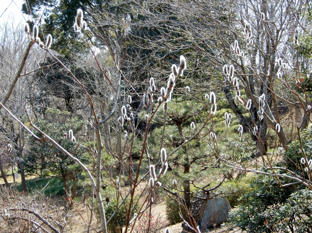 e0025300_18501948.jpg