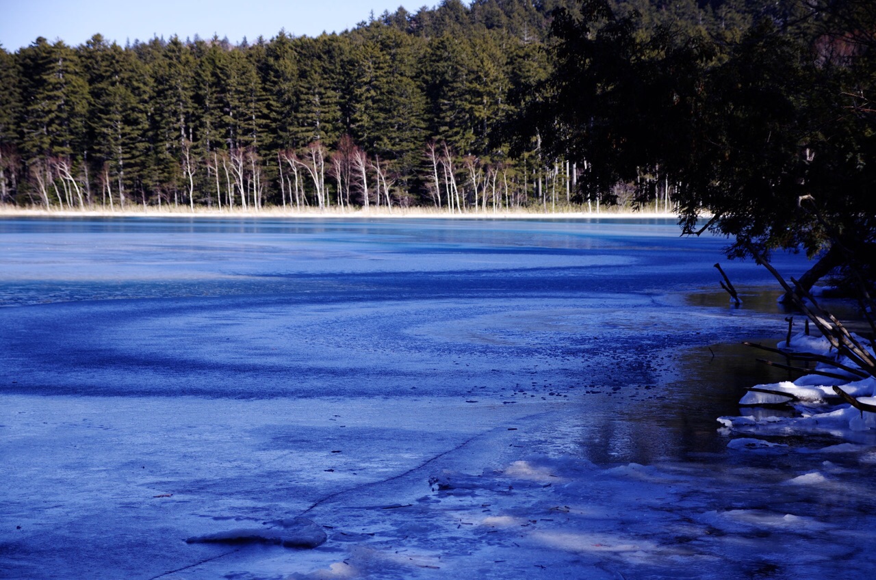 北海道景色_c0072801_26583.jpg