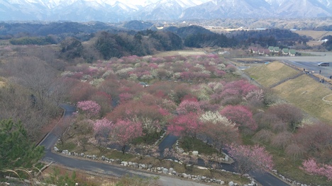 c0210803_1542068.jpg