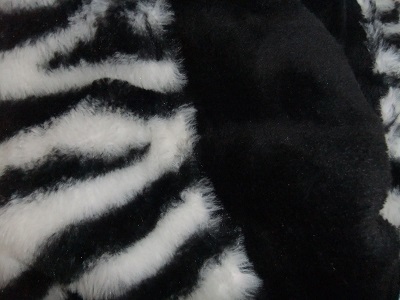 a0118306_20275266.jpg