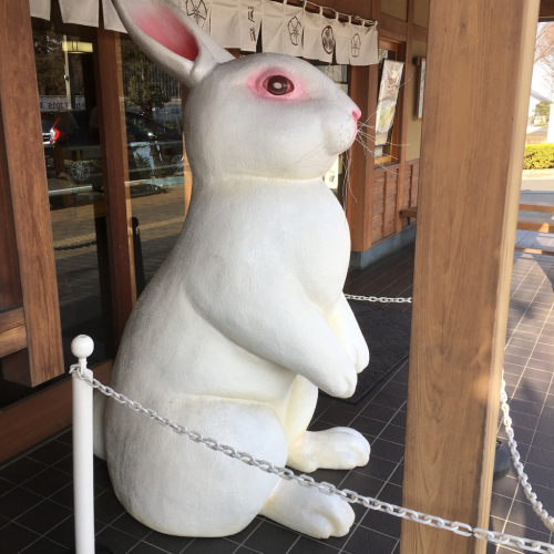 川越サンポ_e0239908_19235684.jpg