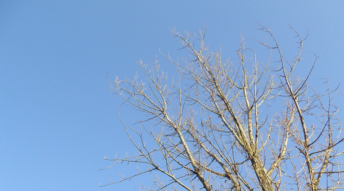 a0152009_1712220.jpg