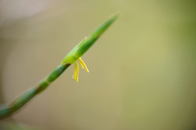 f0032011_20442237.jpg