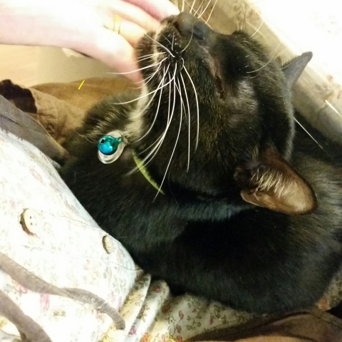 e0144012_16240724.jpeg