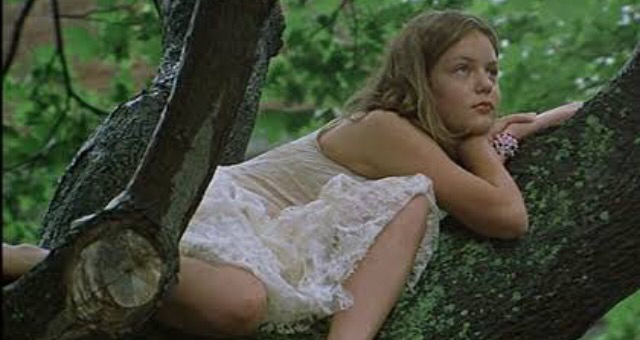 ヴァージンスーサイズ」DVD 原題:VIRGIN SUICIDES 1999' : 映画
