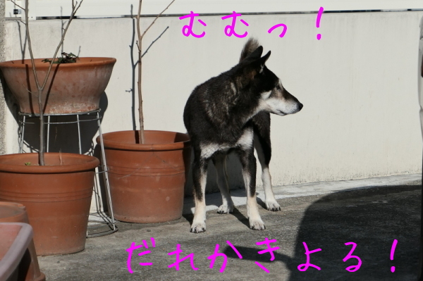 f0369014_12301840.jpg