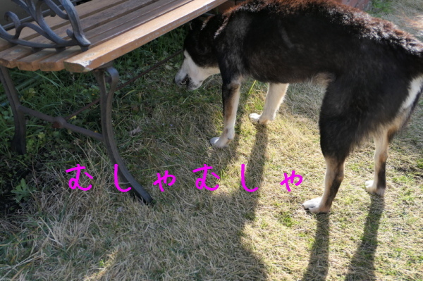 f0369014_13011105.jpg