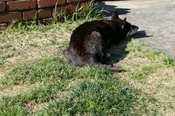 f0369014_13052011.jpg
