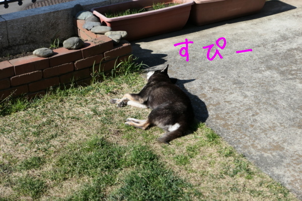 f0369014_13091948.jpg