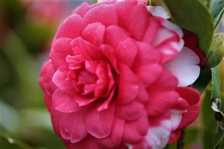 f0354923_00231598.jpg