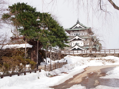 マンサクの花:弘前公園*2017.03.16_b0147224_17383471.jpg