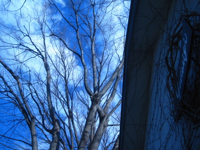 エナジ-_c0102228_21200044.jpg