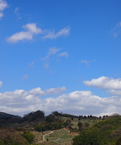 c0188928_16471002.jpg