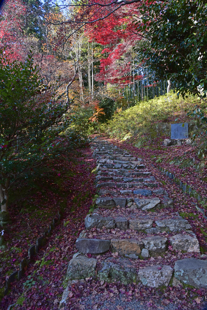 e0367330_212140100.jpg