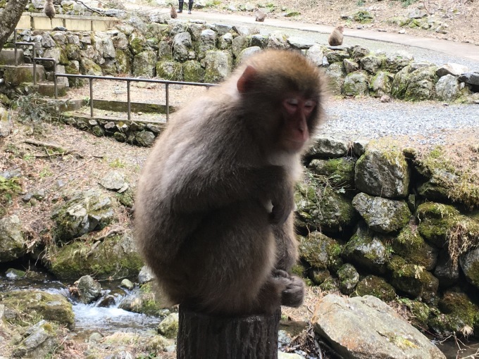 神庭の滝（岡山）_c0237233_22115690.jpg