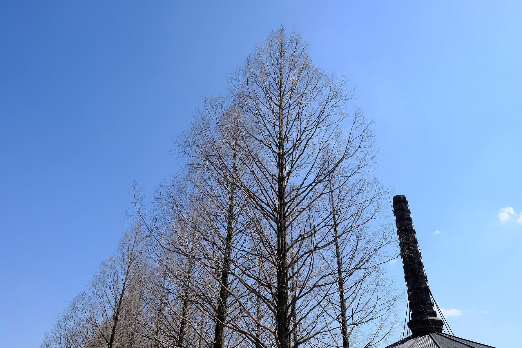 重要文化財 【旧下野煉化製造会社煉瓦窯】 画像_b0212342_07233578.jpg