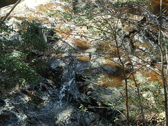 f0334143_8561777.jpg