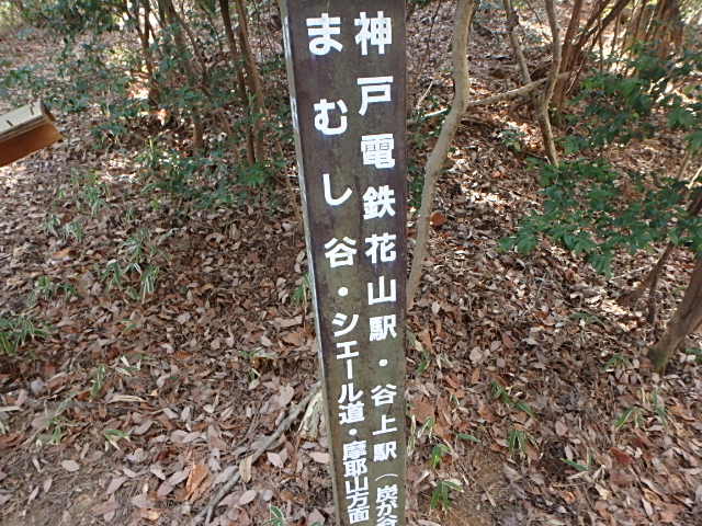 f0334143_8592255.jpg