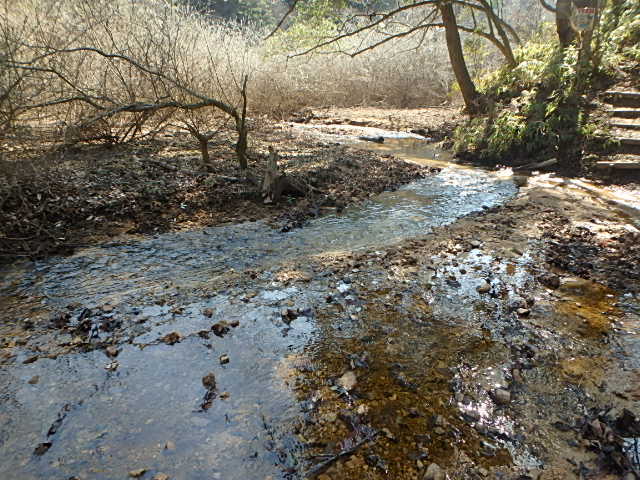 f0334143_8593619.jpg