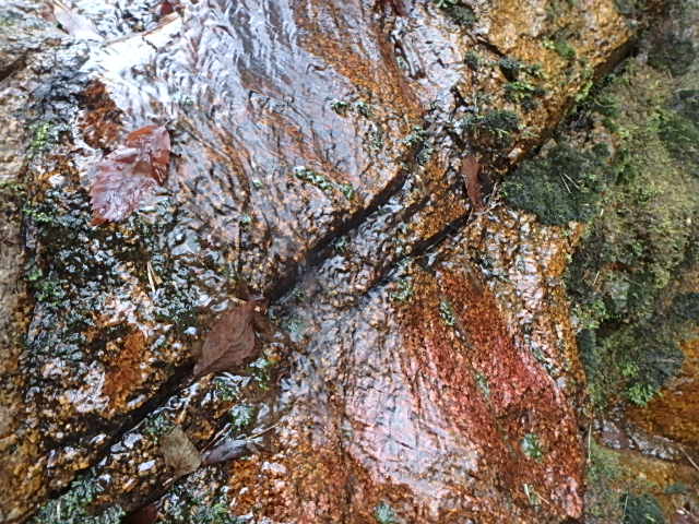 f0334143_913819.jpg