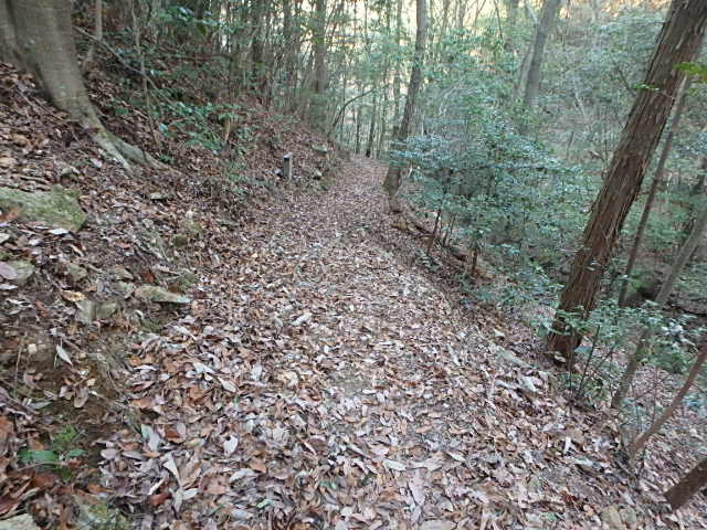 f0334143_945056.jpg