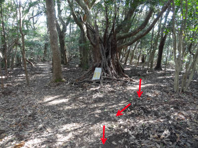 e0033751_18561053.jpg