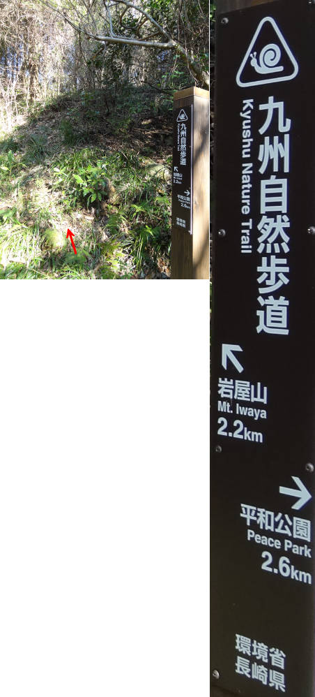 e0033751_1856382.jpg