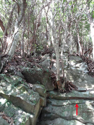 e0033751_1933260.jpg