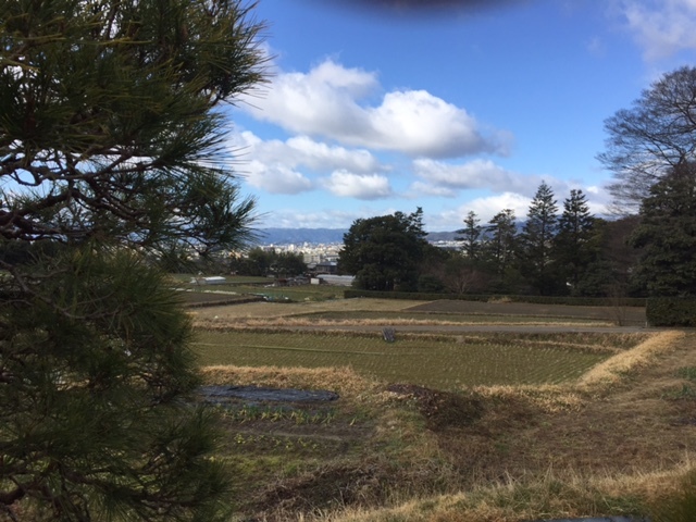 冬の京都旅　3日目　修学院離宮_e0356651_21004899.jpg