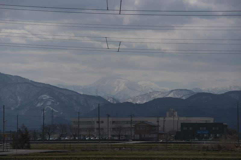 d0342652_1056098.jpg