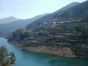 a0057057_21294936.png