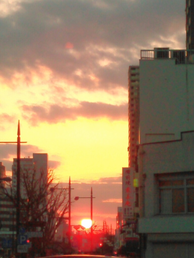 d0230366_18451139.jpg