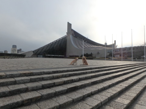 f0052277_01332004.jpg