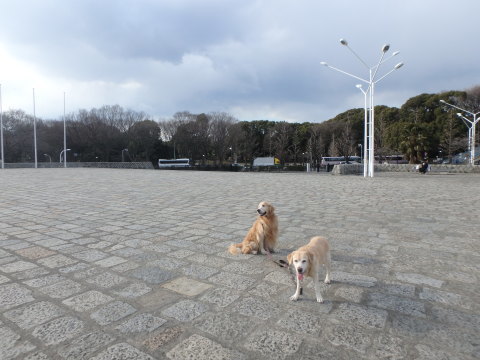f0052277_01362858.jpg