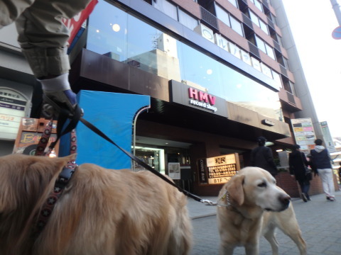 f0052277_01451259.jpg