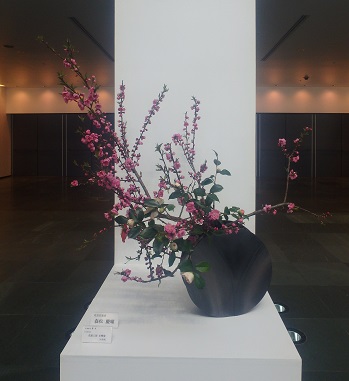 全国陶磁器フェアIN福岡 初日_d0195183_072999.jpg