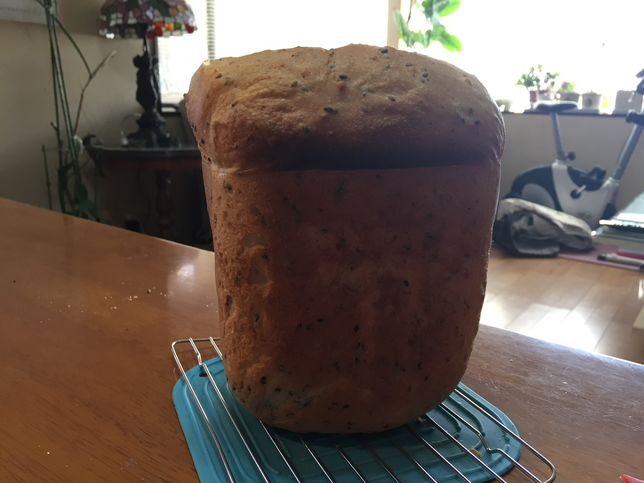 b0330288_18314608.jpeg