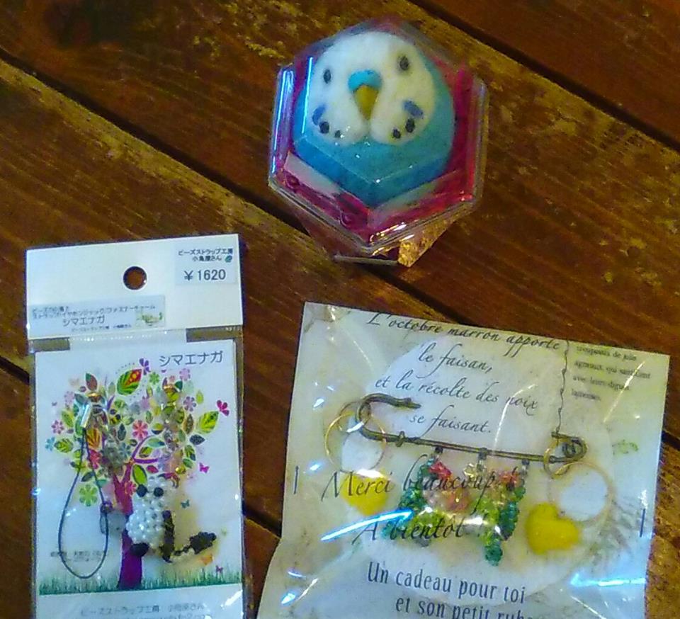 関西つうしんで3月20日(祝)迄開催の鳥展。追加や展示の様子_d0322493_0265875.jpg