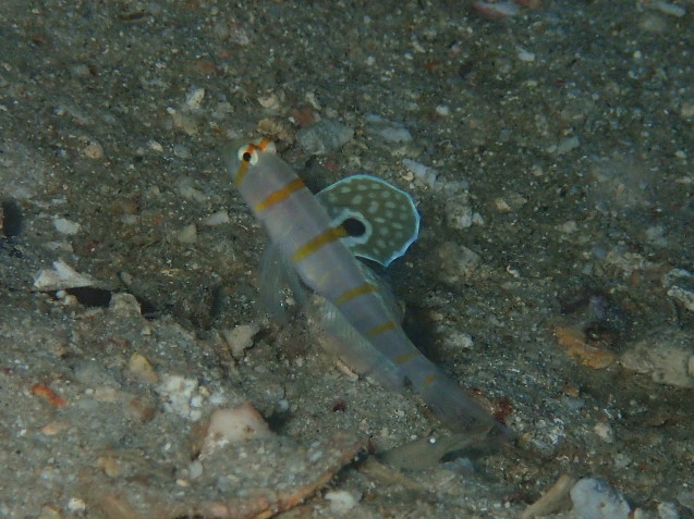 e0115199_13593205.jpg