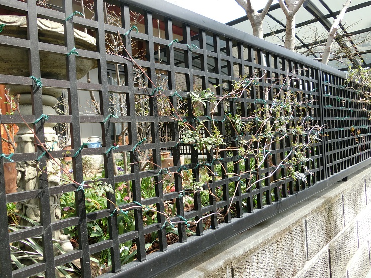 e0234004_2064399.jpg