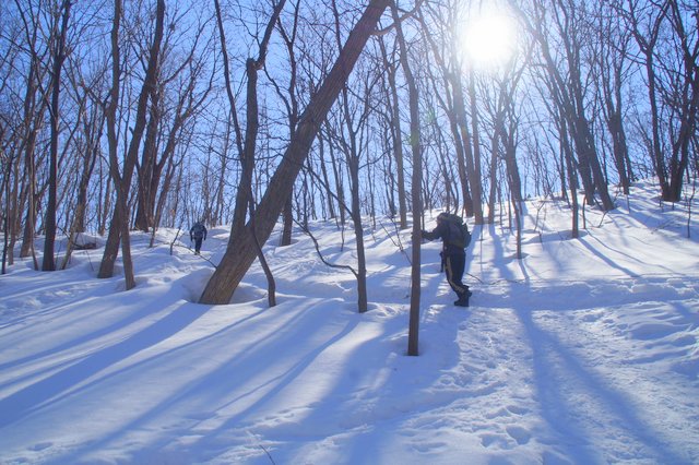 2017年3月18日（土）　春を探して（三角山）_a0345007_17262516.jpg