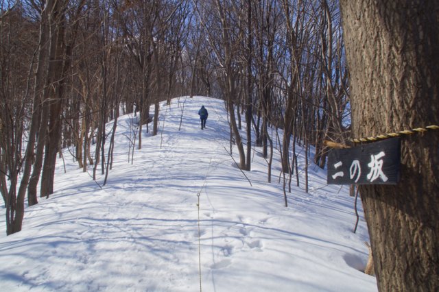 2017年3月18日（土）　春を探して（三角山）_a0345007_1727719.jpg