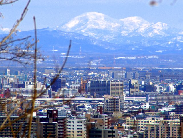 2017年3月18日（土）　春を探して（三角山）_a0345007_17321436.jpg