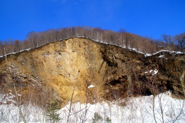 a0345007_17344023.jpg