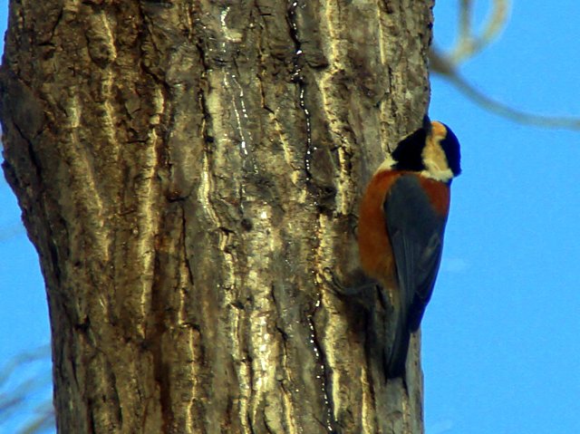 a0345007_173716.jpg