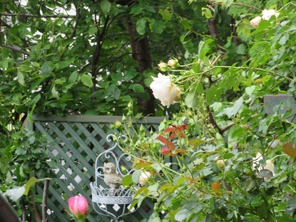 f0325309_08413422.jpg